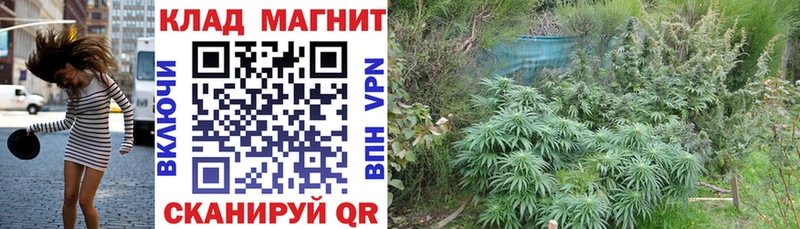 Где найти наркотики Знаменск МАРИХУАНА  Меф  Cocaine  СК  ГАШ 