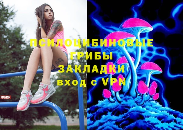 ПСИЛОЦИБИНОВЫЕ ГРИБЫ Вяземский
