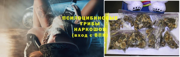 ПСИЛОЦИБИНОВЫЕ ГРИБЫ Вяземский