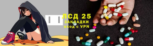 ПСИЛОЦИБИНОВЫЕ ГРИБЫ Вяземский
