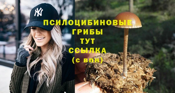 наркотики Кодинск