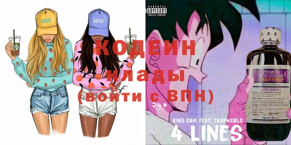 ПСИЛОЦИБИНОВЫЕ ГРИБЫ Вяземский