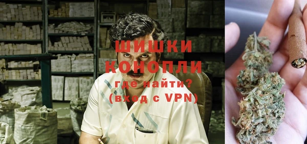 ПСИЛОЦИБИНОВЫЕ ГРИБЫ Вяземский